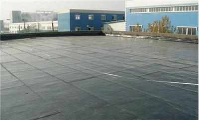 辛庄镇楼顶防水