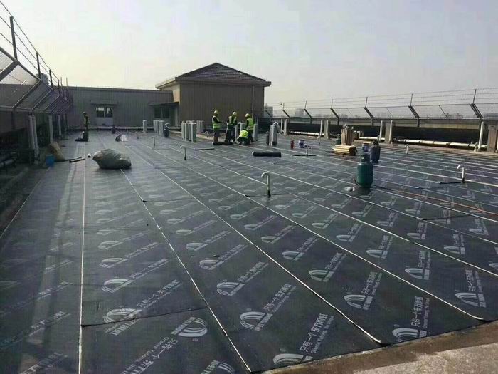 辛庄镇楼面防水
