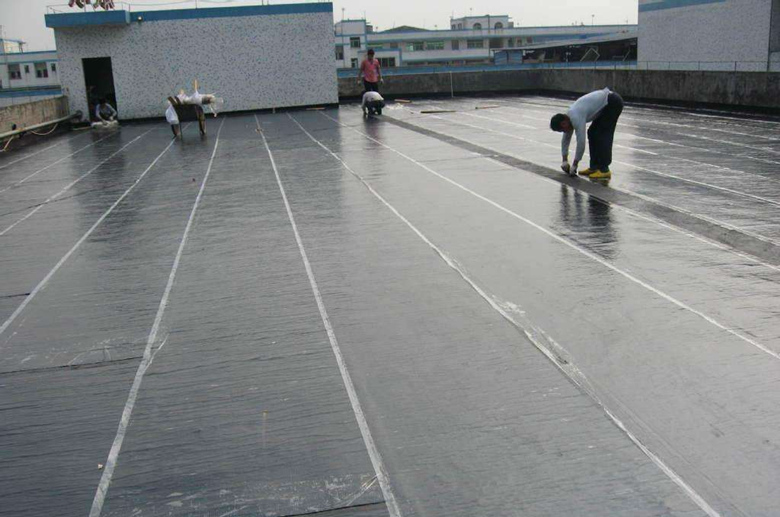 辛庄镇屋面防水
